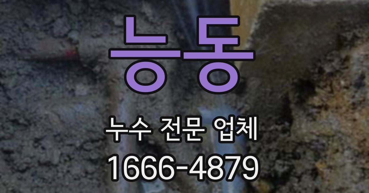 능동 누수 전문 업체