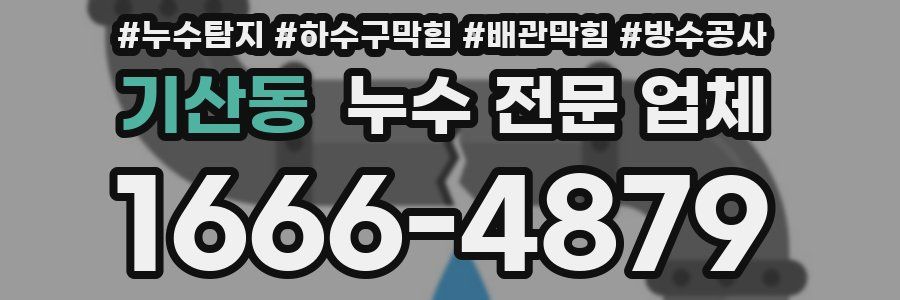 기산동 누수 전문 업체