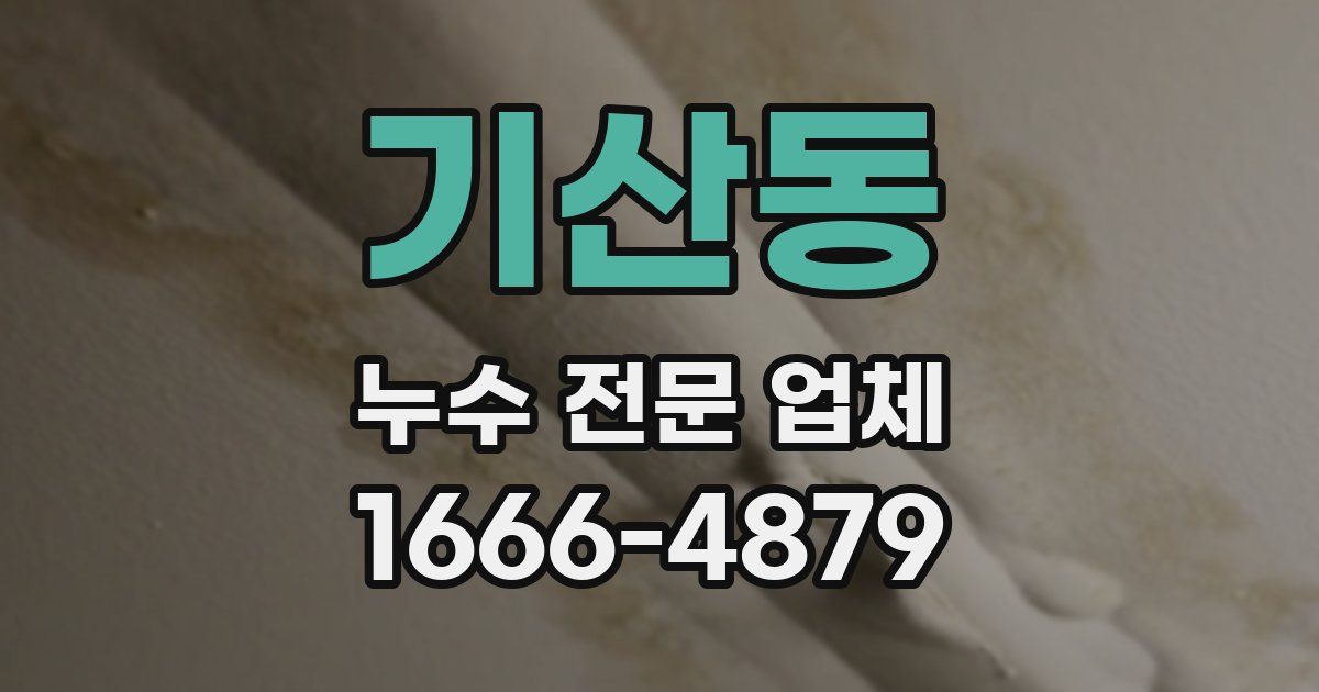 기산동 누수 전문 업체