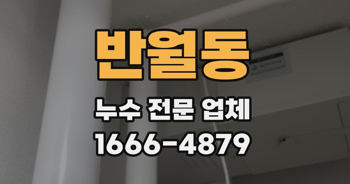 반월동 누수 전문 업체
