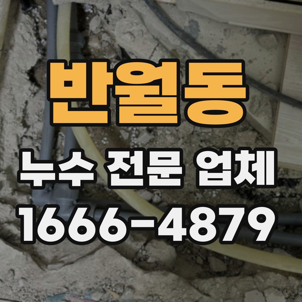 반월동 누수 전문 업체