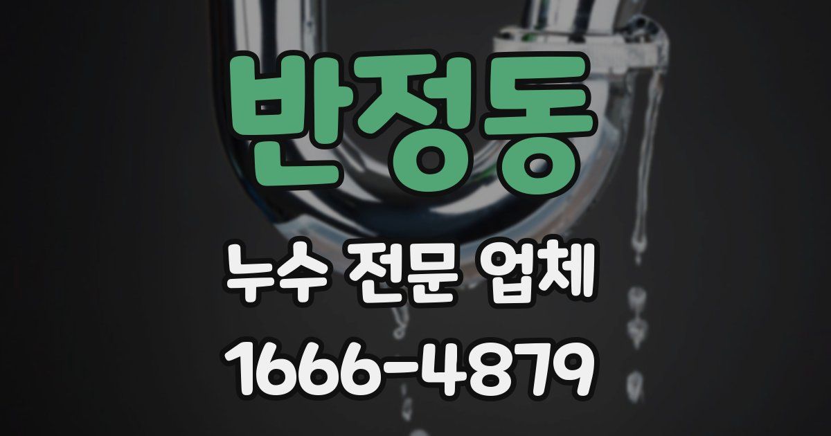 반정동 누수 전문 업체