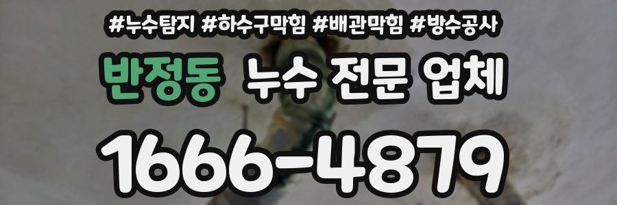반정동 누수 전문 업체
