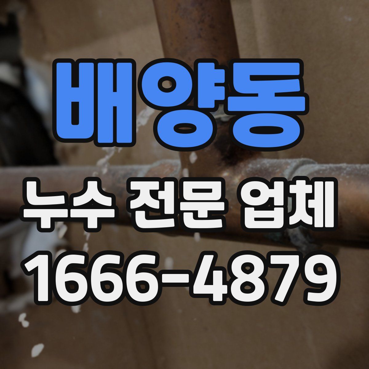 배양동 누수 전문 업체