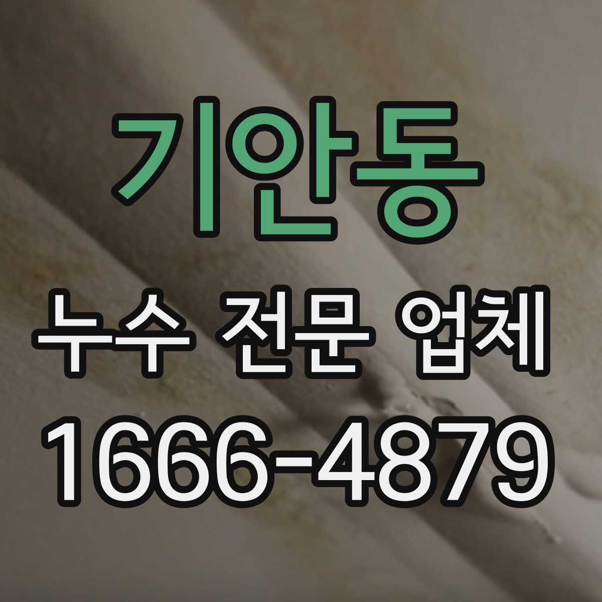 기안동 누수 전문 업체