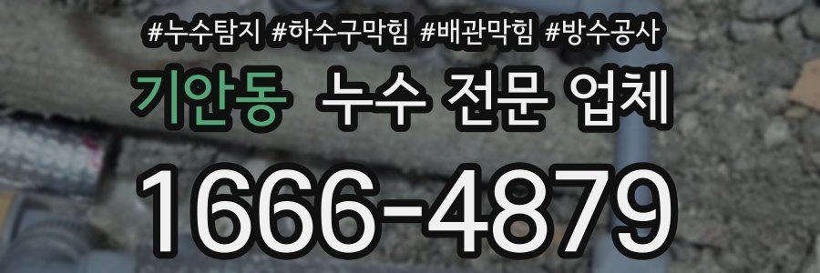기안동 누수 전문 업체