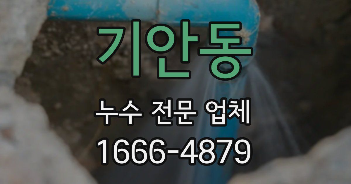기안동 누수 전문 업체