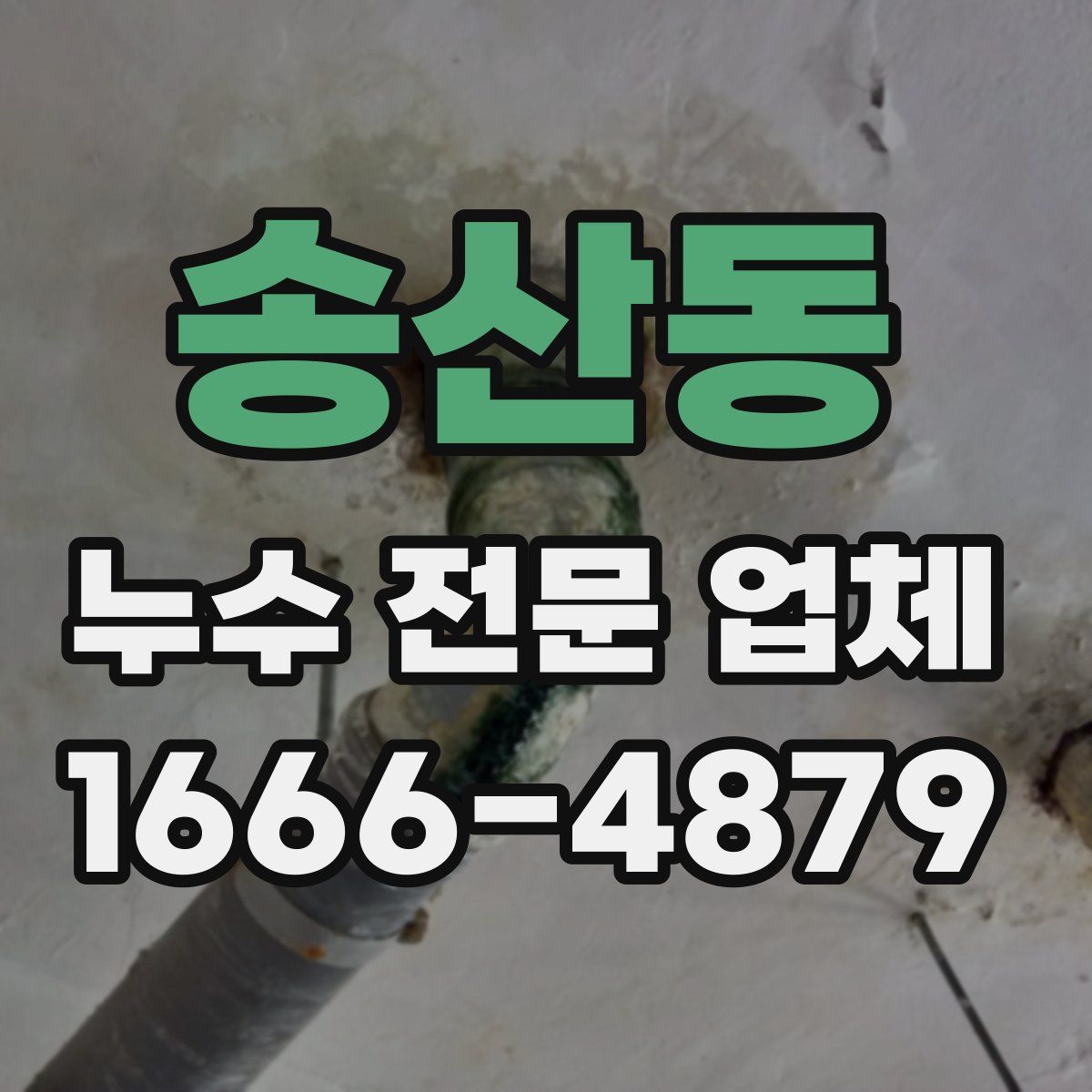 송산동 누수 전문 업체