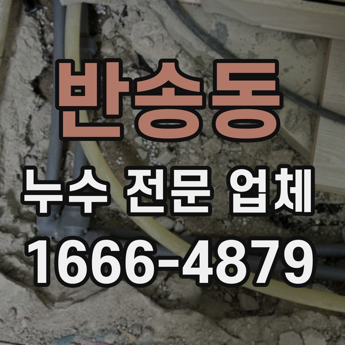 반송동 누수 전문 업체