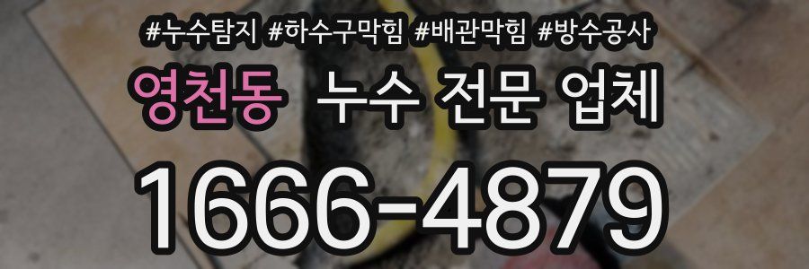영천동 누수 전문 업체