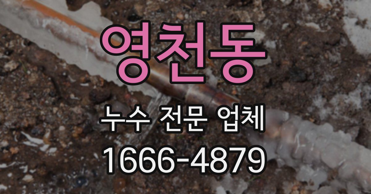 영천동 누수 전문 업체