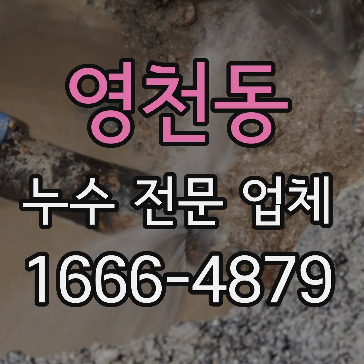 영천동 누수 전문 업체