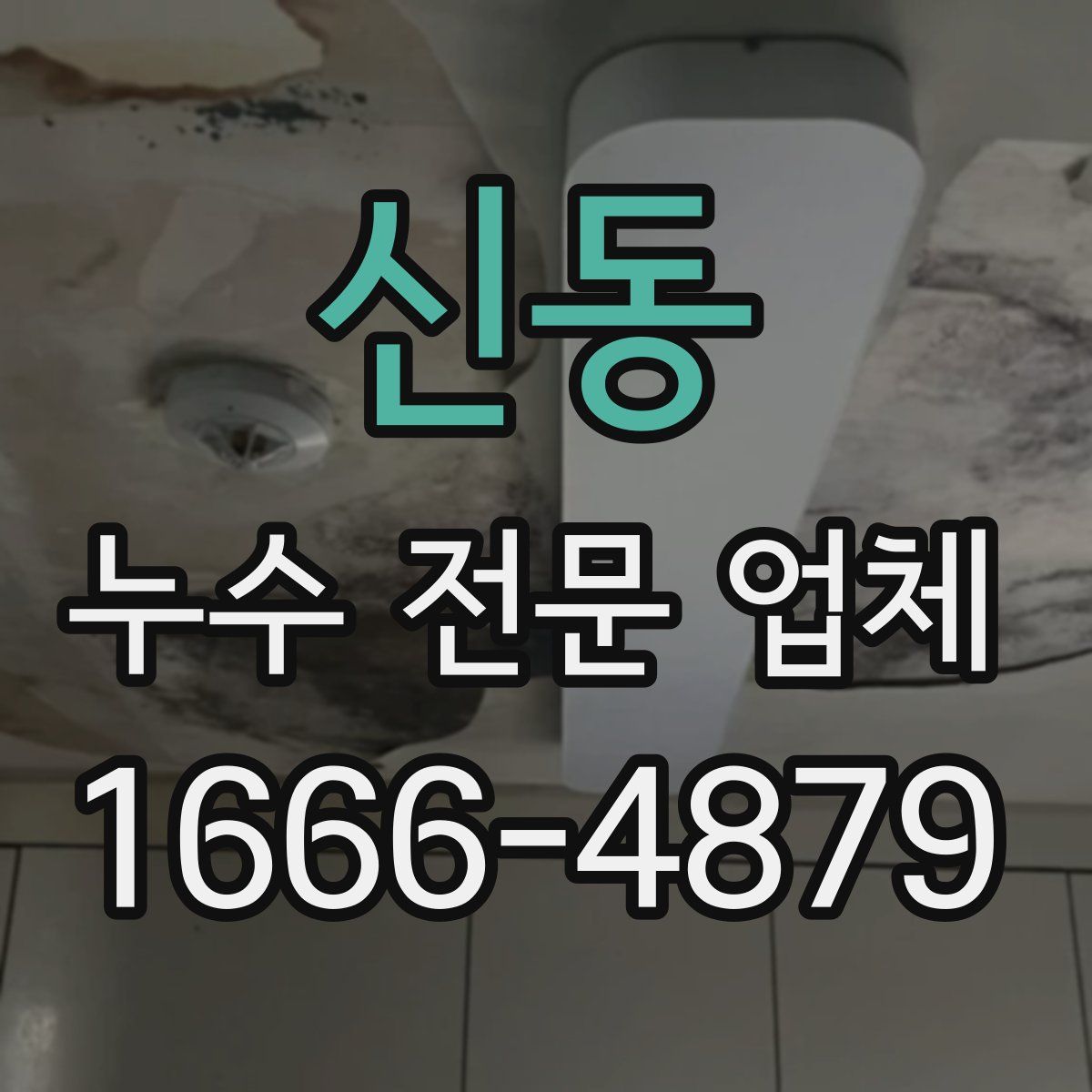 신동 누수 전문 업체