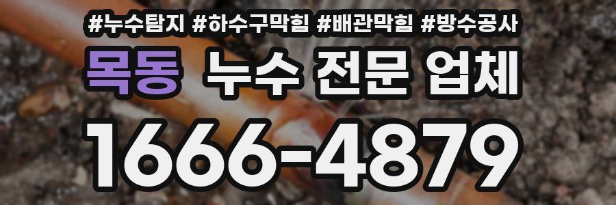 목동 누수 전문 업체