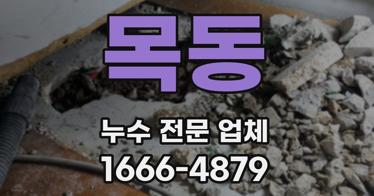 목동 누수 전문 업체