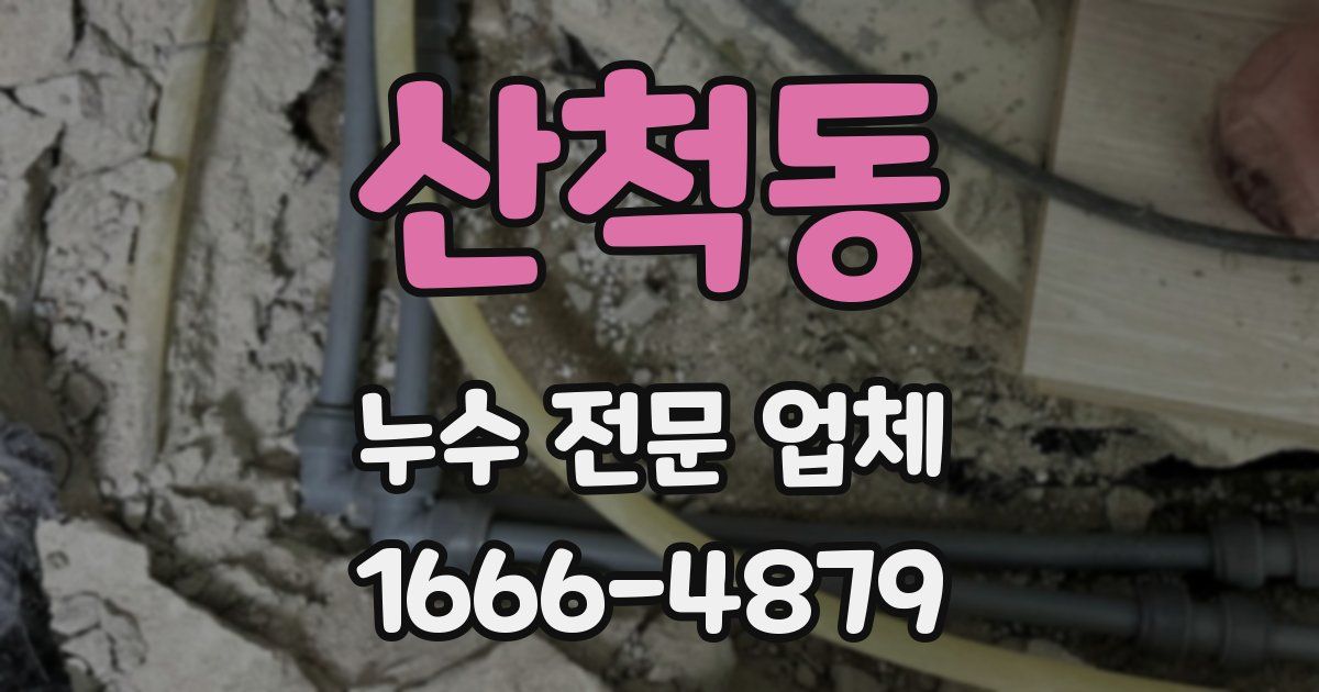 산척동 누수 전문 업체