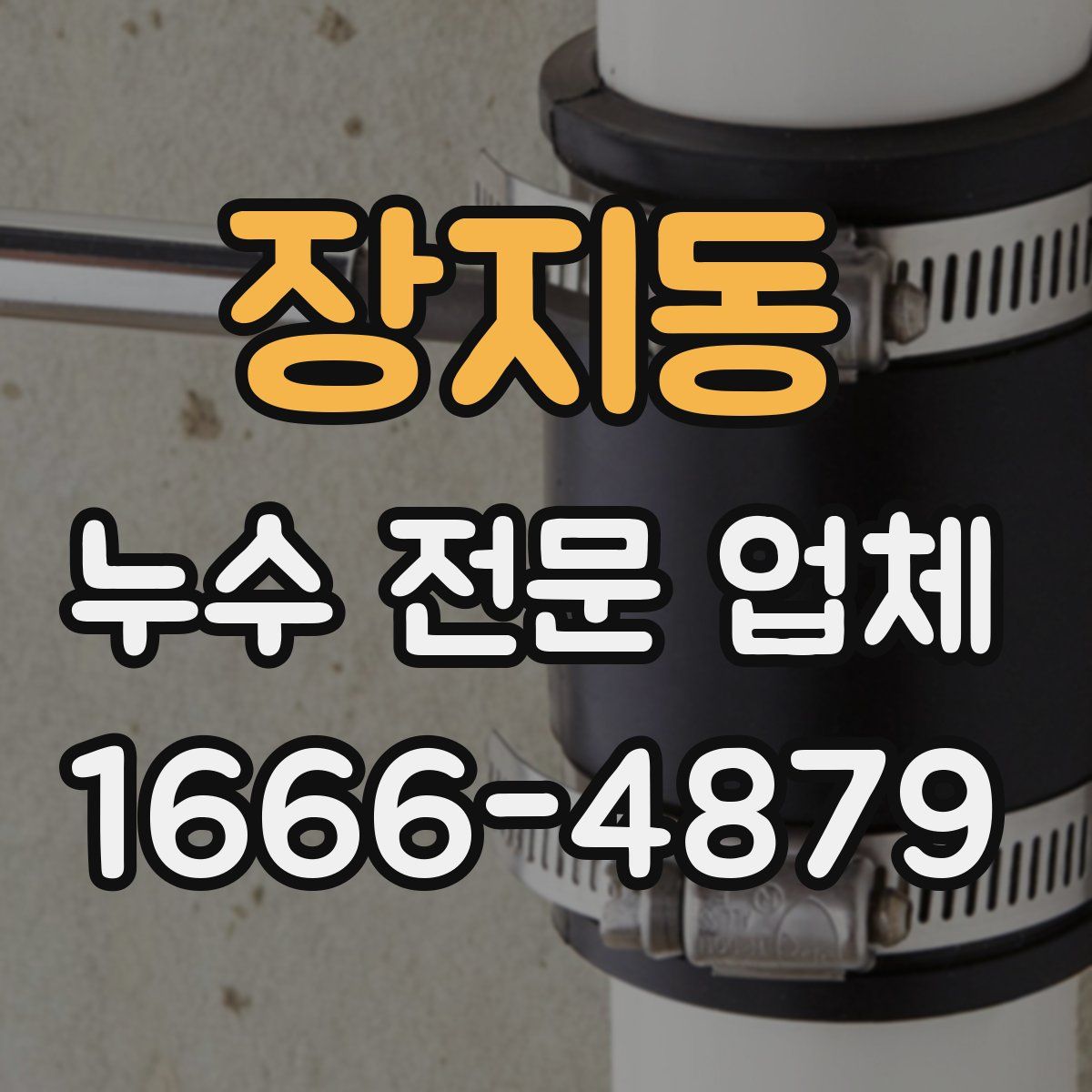 장지동 누수 전문 업체