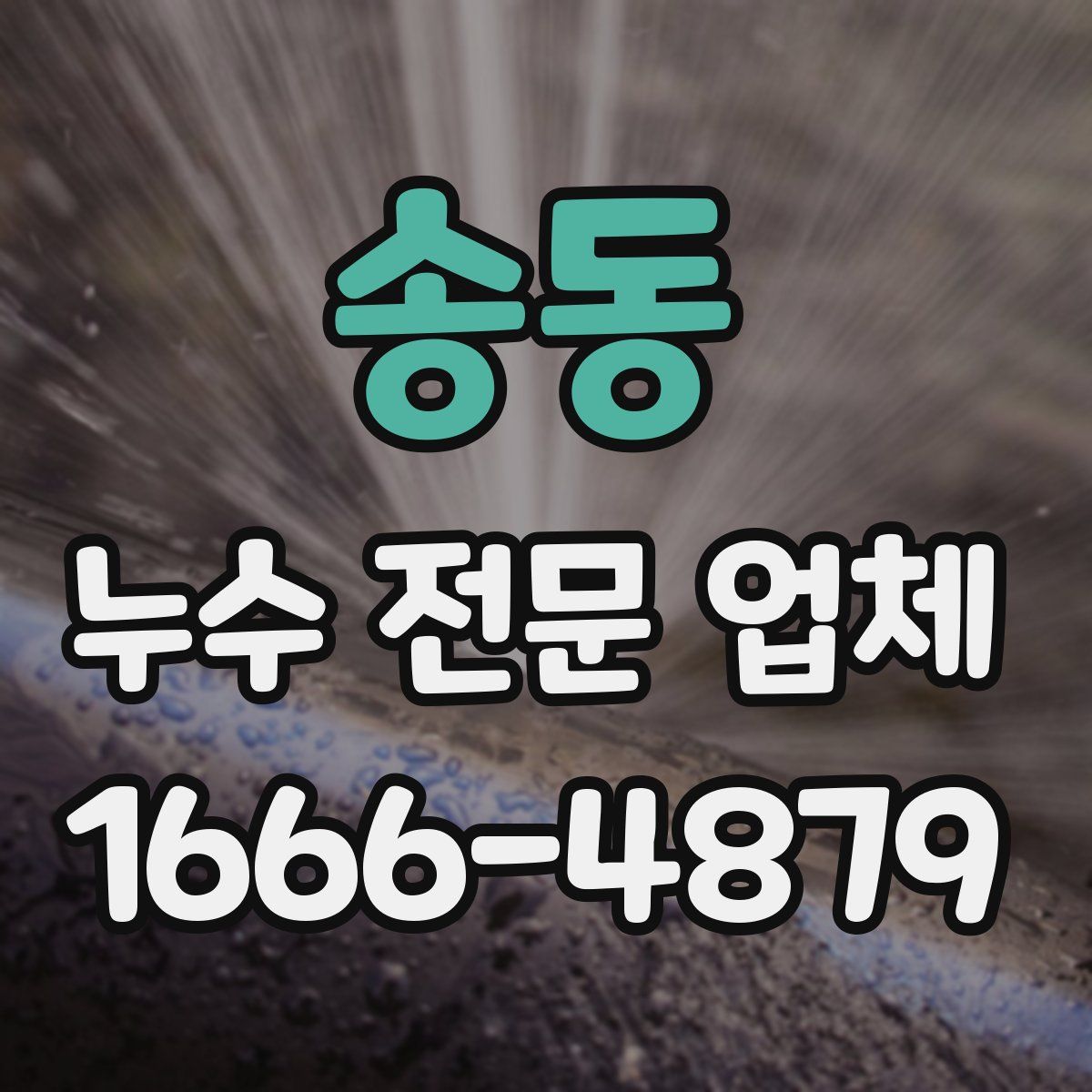 송동 누수 전문 업체