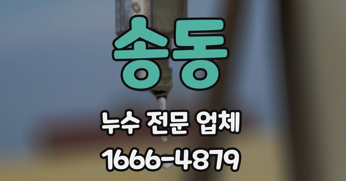 송동 누수 전문 업체