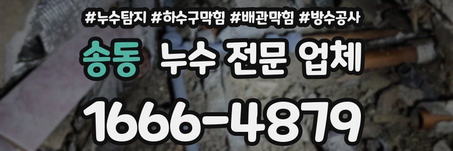 송동 누수 전문 업체