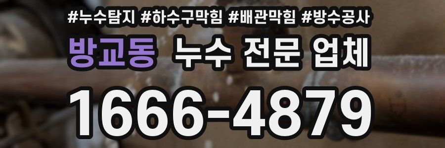 방교동 누수 전문 업체