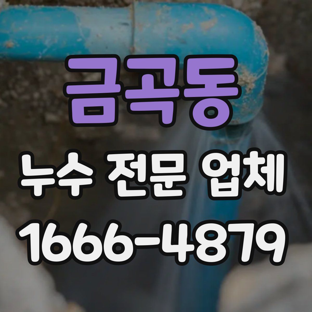 금곡동 누수 전문 업체