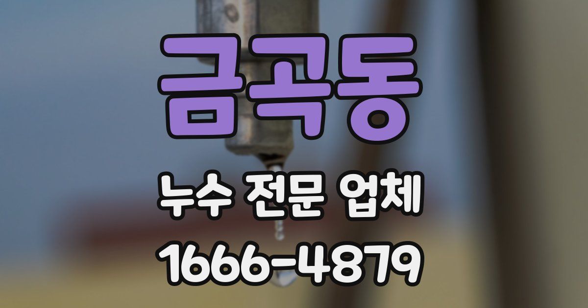 금곡동 누수 전문 업체