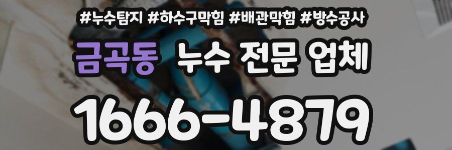 금곡동 누수 전문 업체