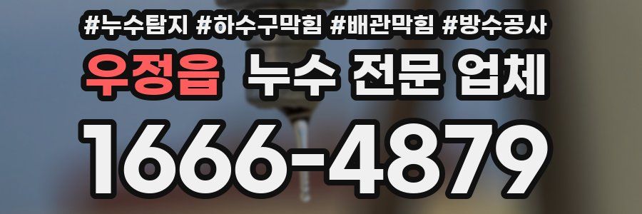 우정읍 누수 전문 업체