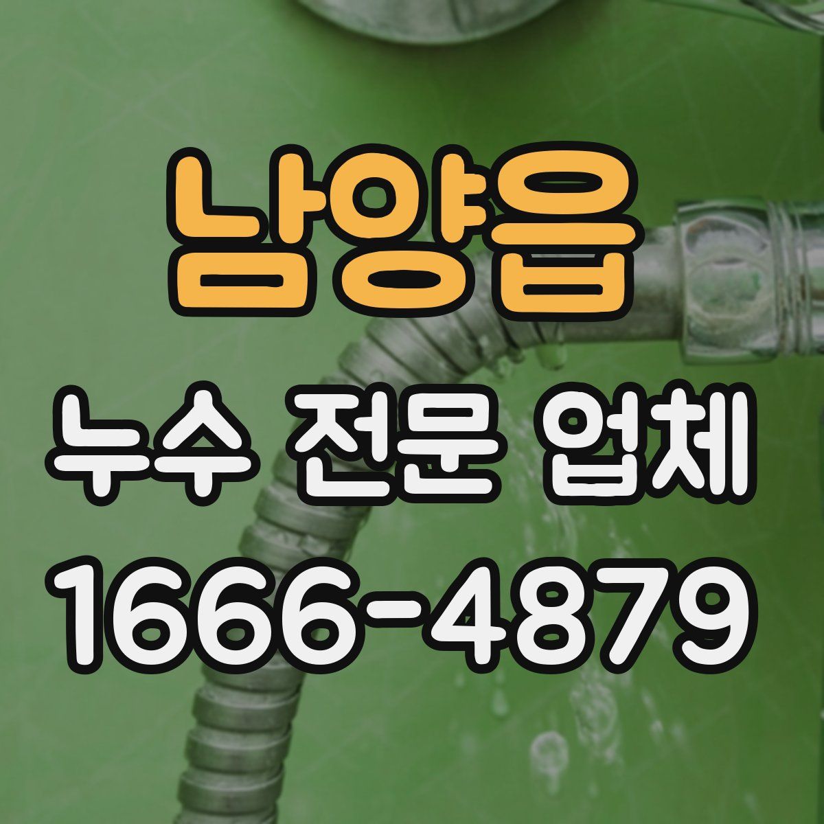 남양읍 누수 전문 업체