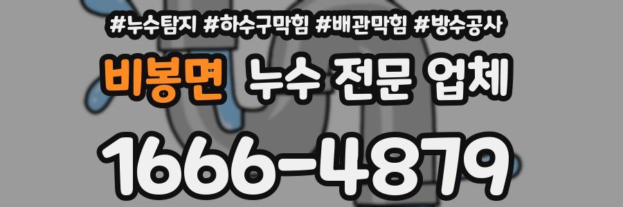 비봉면 누수 전문 업체