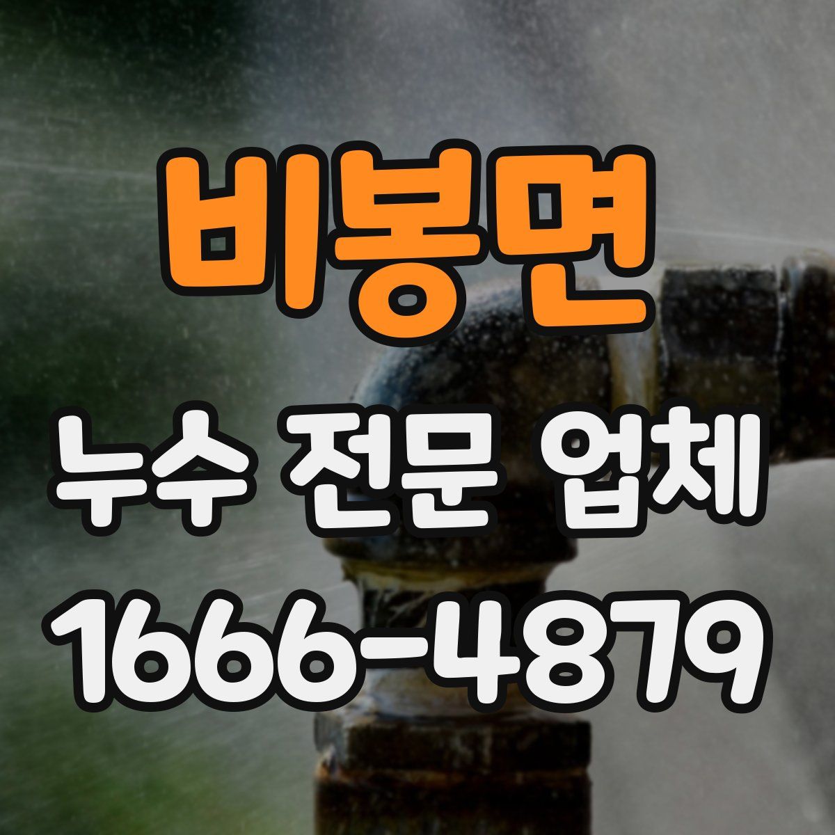 비봉면 누수 전문 업체