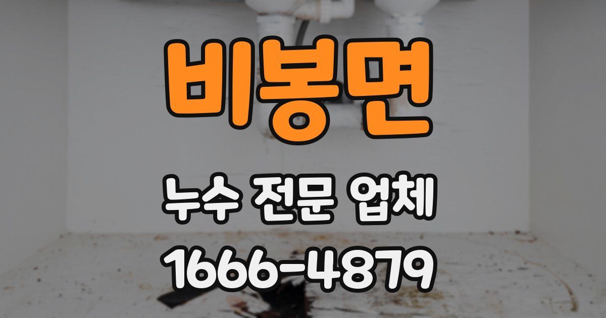 비봉면 누수 전문 업체