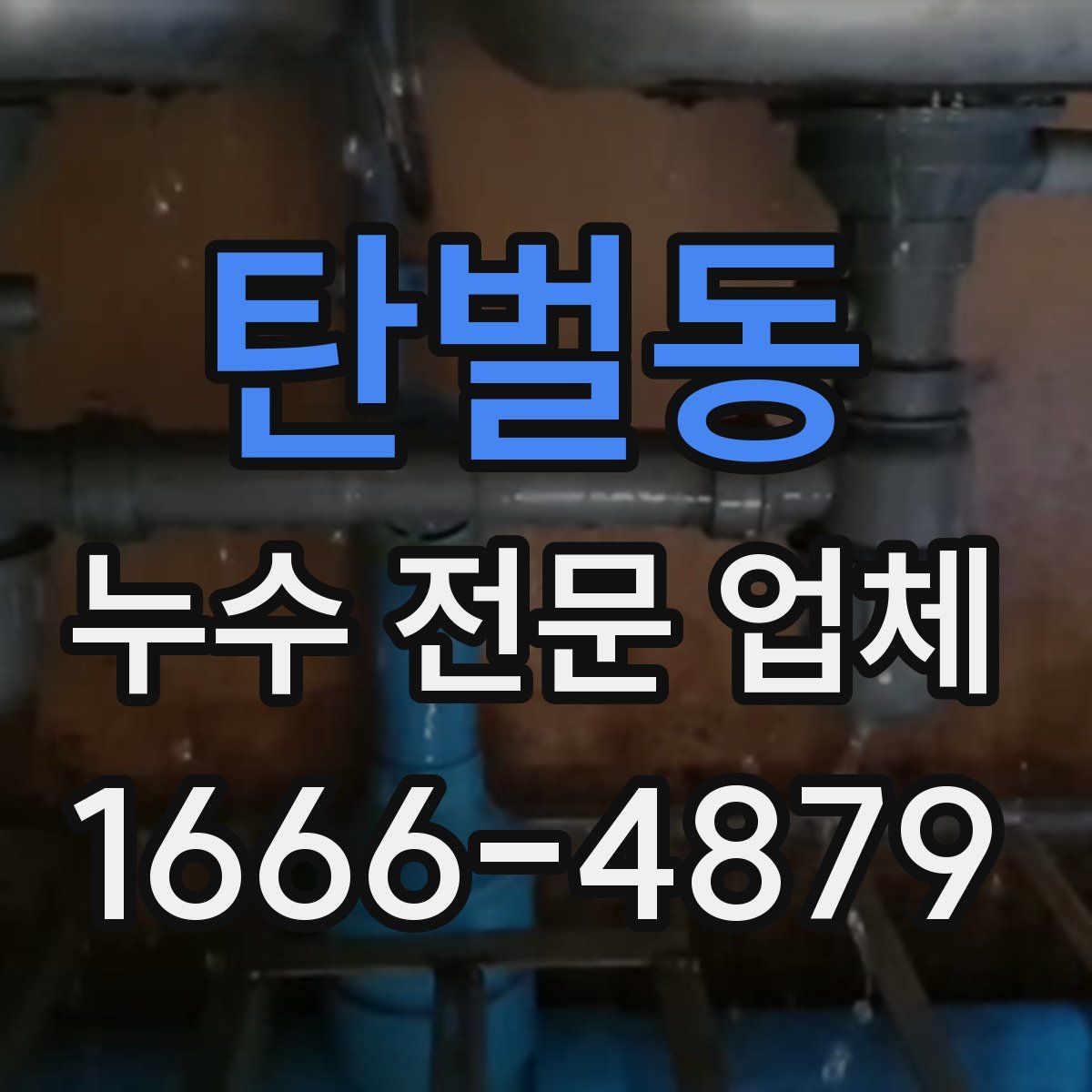 탄벌동 누수 전문 업체
