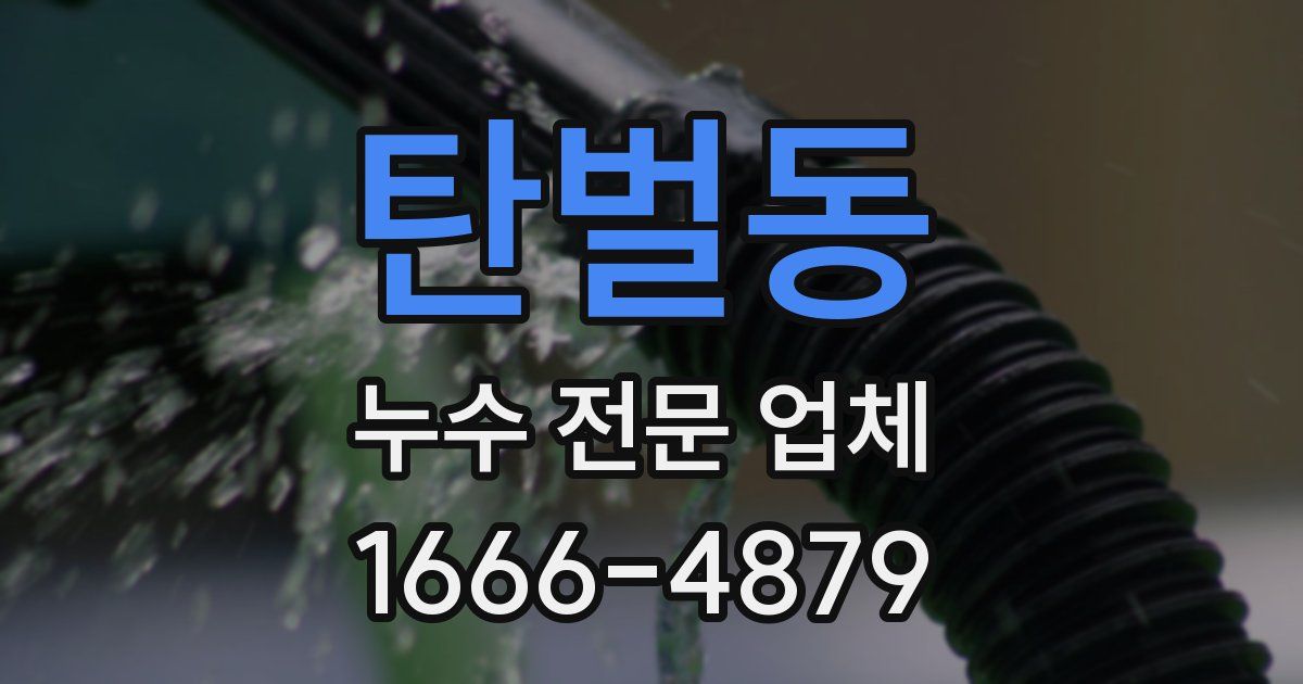 탄벌동 누수 전문 업체