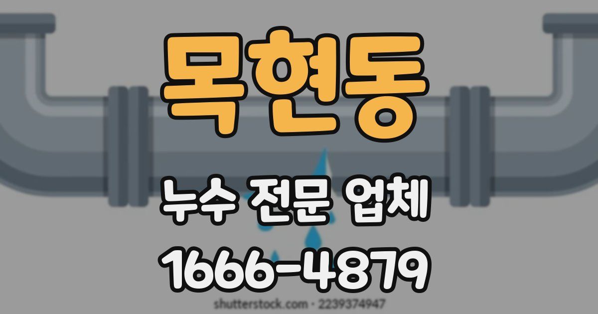목현동 누수 전문 업체
