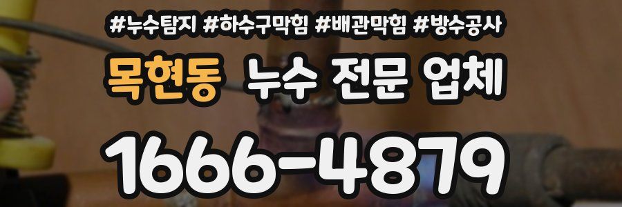 목현동 누수 전문 업체