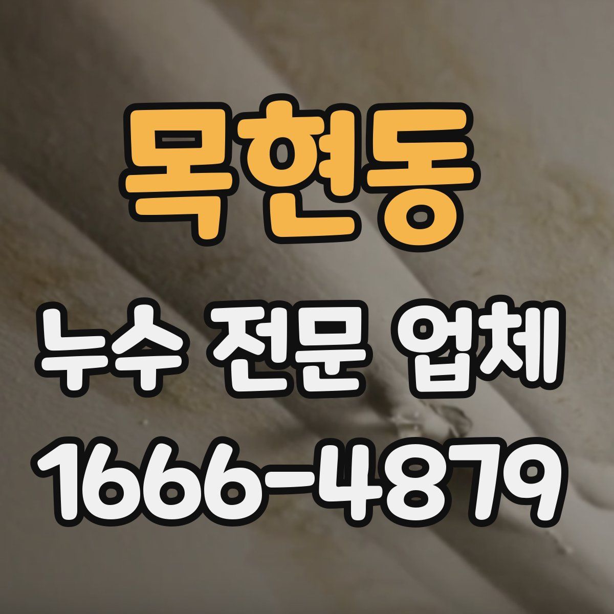 목현동 누수 전문 업체