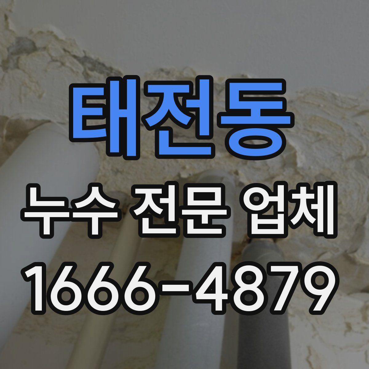 태전동 누수 전문 업체