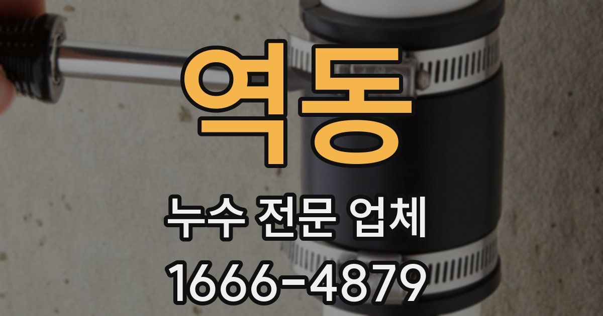 역동 누수 전문 업체