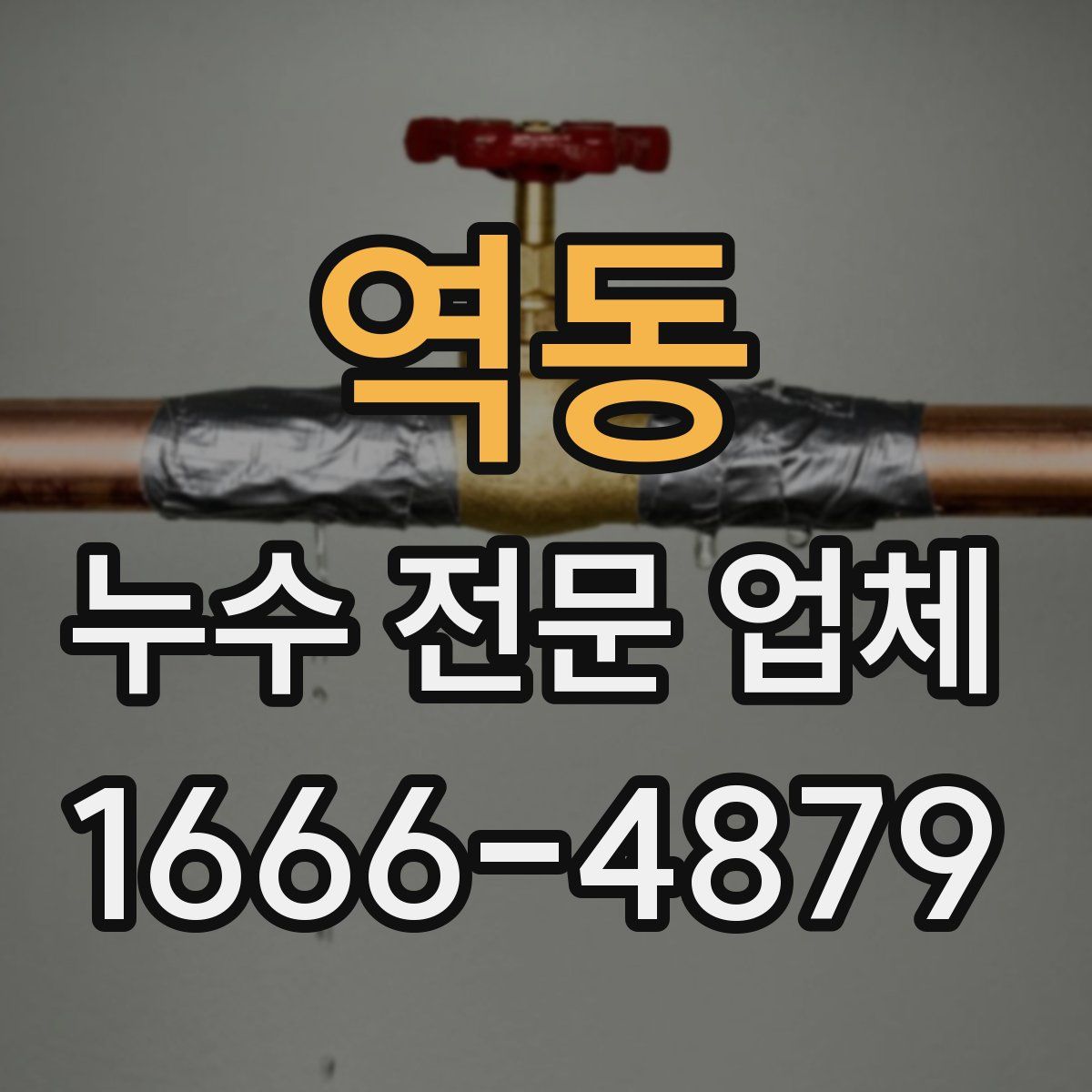 역동 누수 전문 업체