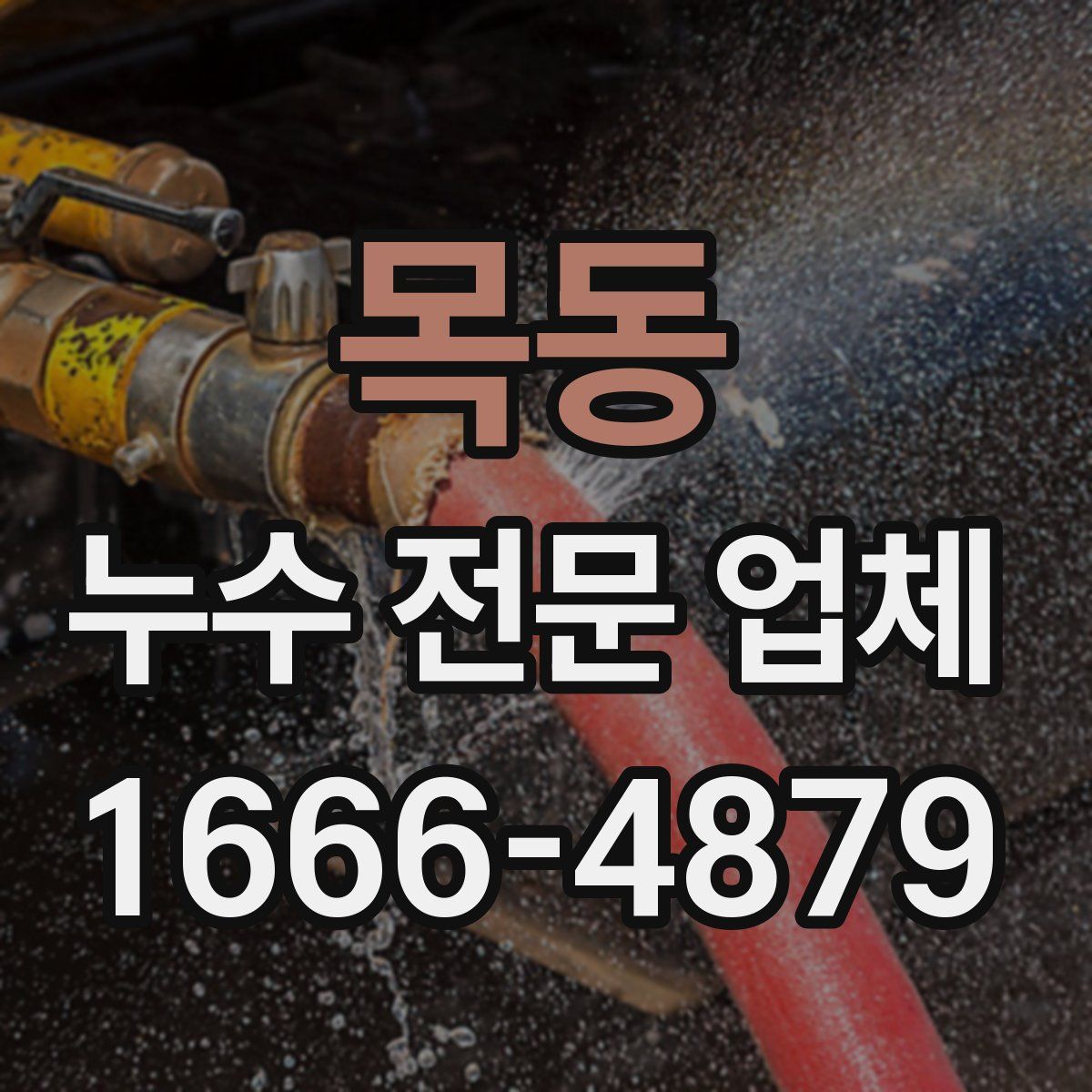 목동 누수 전문 업체