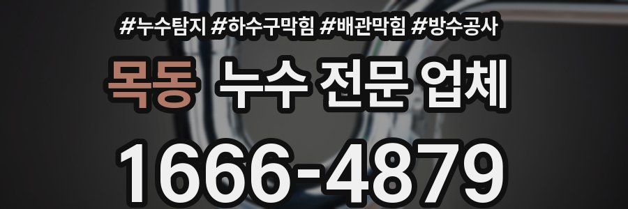 목동 누수 전문 업체