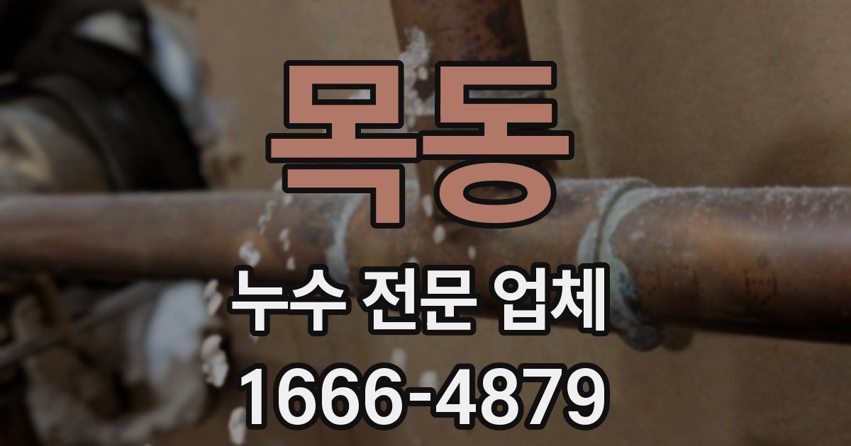 목동 누수 전문 업체
