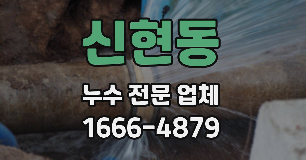 신현동 누수 전문 업체