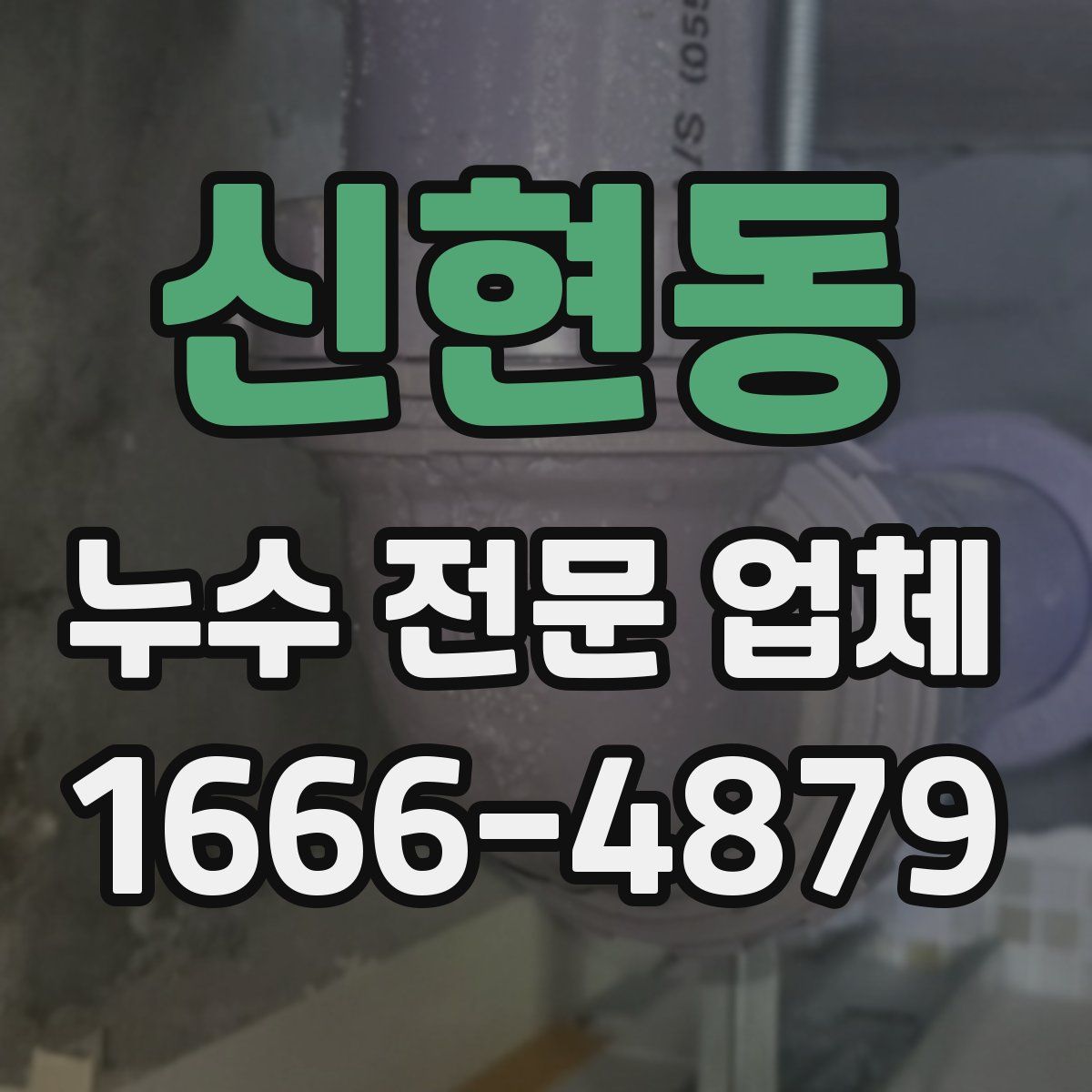 신현동 누수 전문 업체