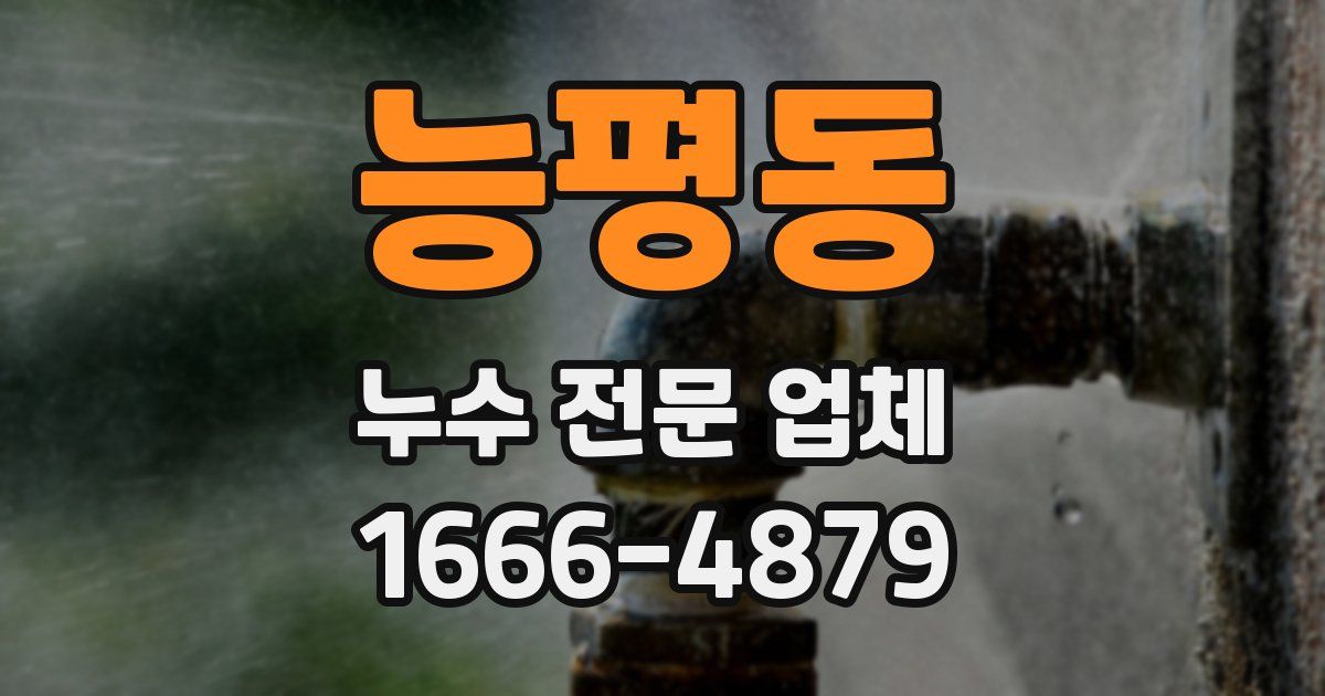 능평동 누수 전문 업체