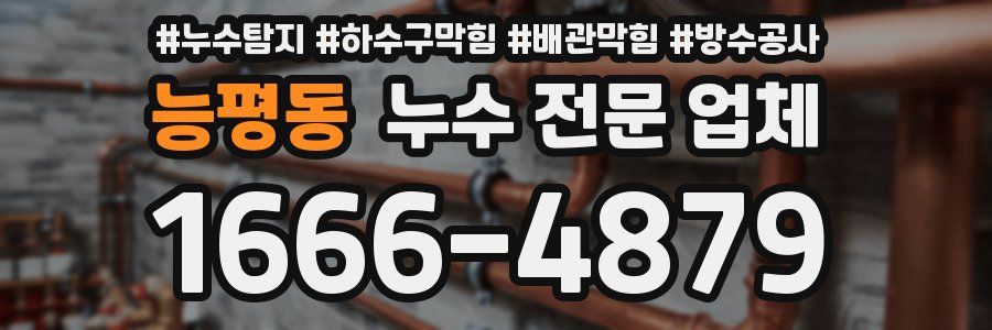 능평동 누수 전문 업체