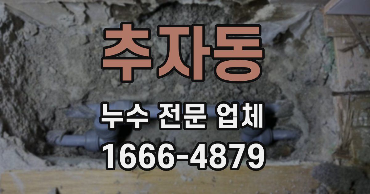 추자동 누수 전문 업체