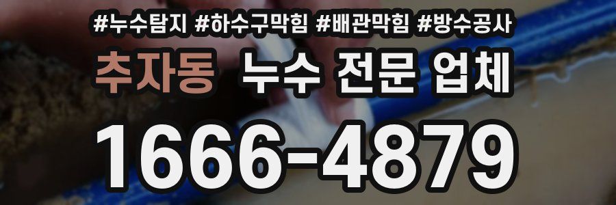 추자동 누수 전문 업체